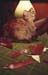 Kat-cut_cat