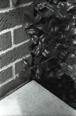 bricksholly_line3