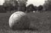 Ball 1